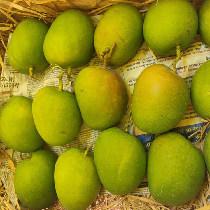 mango image